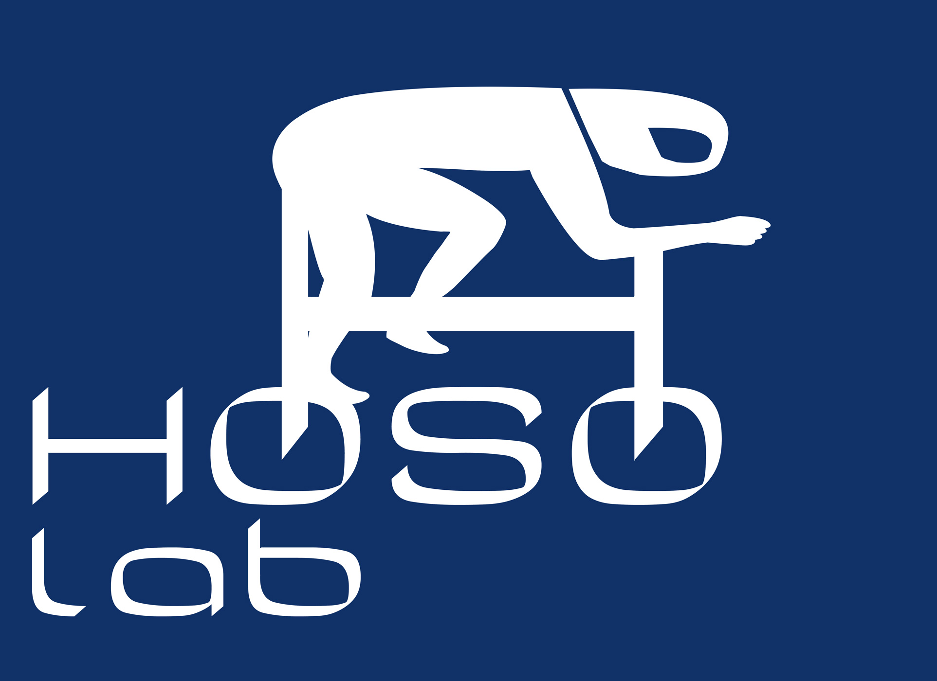 HosoLabLogo Logo Digital Innovation Studio