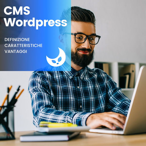 cms-wordpress-geofelix-web-agency-pavia-milano-1